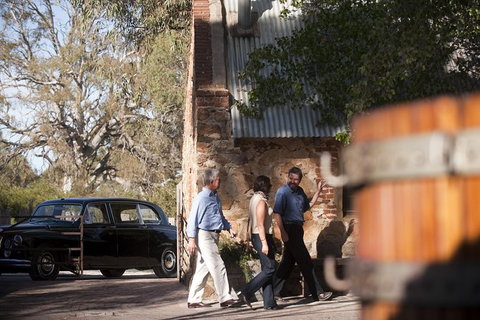 Private Barossa Valley Winery Tour By Classic 1962 Daimler From The Barossa Valley - Tourism Adelaide 11