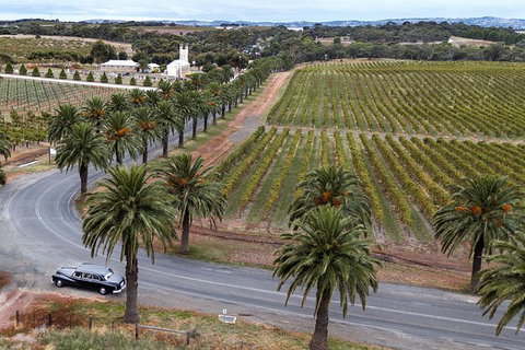 Private Barossa Valley Winery Tour By Classic 1962 Daimler From The Barossa Valley - Tourism Adelaide 6