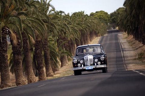 Private Barossa Valley Winery Tour By Classic 1962 Daimler From The Barossa Valley - Tourism Adelaide 2