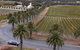 Private Barossa Valley Winery Tour By Classic 1962 Daimler From The Barossa Valley - thumb 8