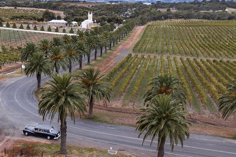 Private Barossa Valley Winery Tour By Classic 1962 Daimler From The Barossa Valley - Tourism Adelaide 8