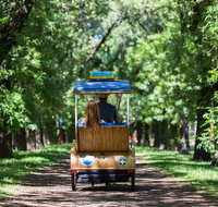 Adelaide 90-Minute Pedicab Tour Scenic Green  River Experience - Tourism Adelaide