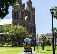 Adelaide 90-Minute Pedicab Tour City Sights Experience - Tourism Adelaide