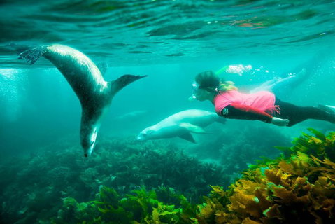 3 Day Port Lincoln And Coffin Bay Tour - Tourism Adelaide 12