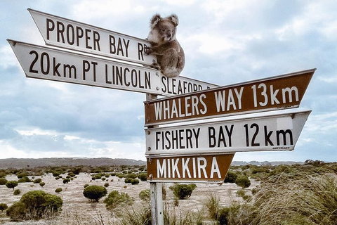3 Day Port Lincoln And Coffin Bay Tour - Tourism Adelaide 14