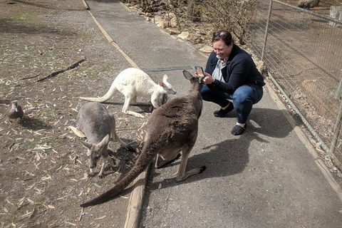 A Taste Of Adelaide And Hahndorf By Car Private Tour. - Tourism Adelaide 8