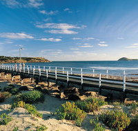 Victor Harbor and Southern Highlights from Adelaide Including Lunch - Tourism Adelaide