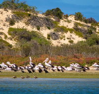 Murray Mouth Cruise - Tourism Adelaide