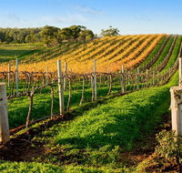Victor Harbor with McLaren Vale Wine Region Tour from Adelaide - Tourism Adelaide