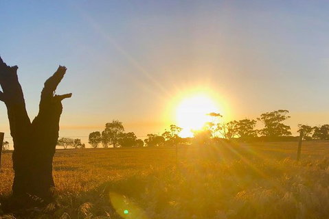 Fleurieu Explorer 3 Day 2 Night Cycle Camping Self Guided Tour - Tourism Adelaide 4