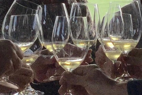 Luxury Private Mclaren Vale Wine Tour - Tourism Adelaide 1