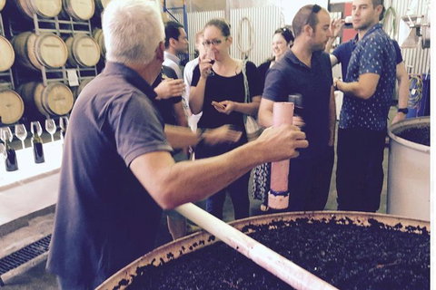 Luxury Private Mclaren Vale Wine Tour - Tourism Adelaide 7