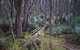 Fleurieu Explorer - Full-Day Tour - thumb 1