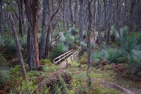 Fleurieu Explorer - Full-Day Tour - Tourism Adelaide 6