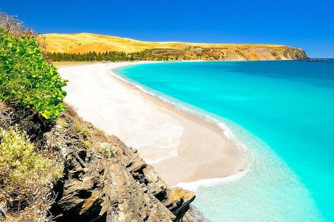 Fleurieu Explorer - Full-Day Tour - Tourism Adelaide 7