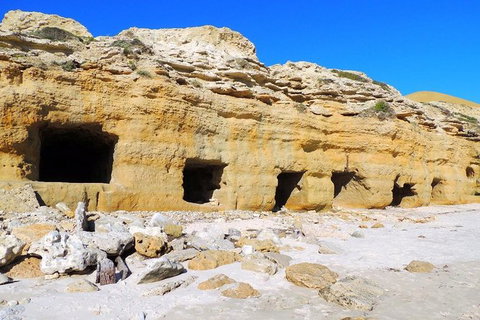 Fleurieu Explorer - Full-Day Tour - Tourism Adelaide 8