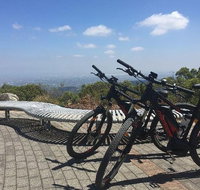 Mt Lofty Wine Wheels  Wildlife - Tourism Adelaide