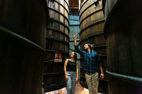A Day Of Decadence At D'Arenberg - Tourism Adelaide 1