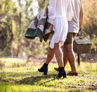 Gemtree Wines Wine and Wander Experience - Tourism Adelaide