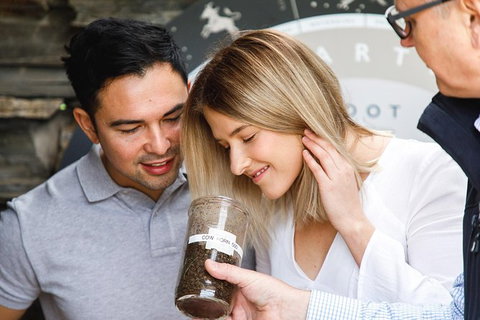 Gemtree Wines: Wine And Wander Experience - Tourism Adelaide 5