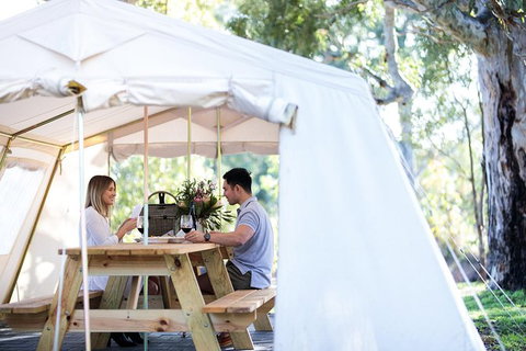 Gemtree Wines: Wine And Wander Experience - Tourism Adelaide 4