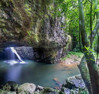 Springbrook andTamborine Rainforest Tour Incl Natural Bridge and Glow Worm Cave - Tourism Adelaide