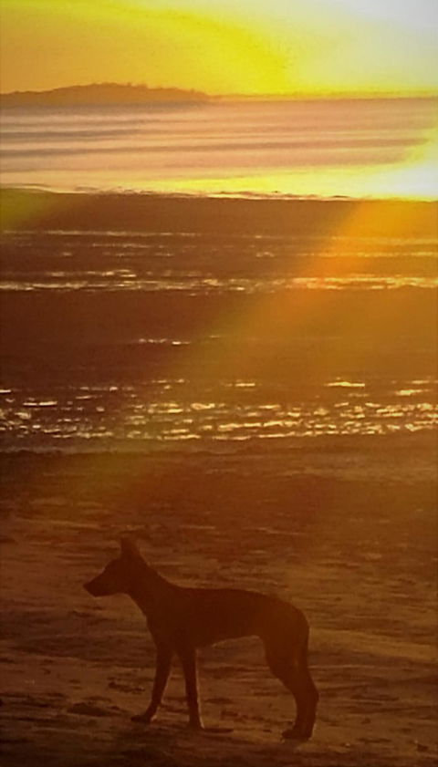 3-Day Fraser Island Resort Package - Tourism Adelaide 3