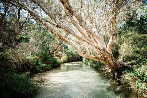 3-Day Fraser Island Resort Package - Tourism Adelaide 11