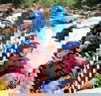 Tully River Full-Day White Water Rafting from Cairns including Lunch - Tourism Adelaide