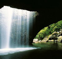 World Heritage Springbrook National Park Tour Including Natural Bridge - Tourism Adelaide