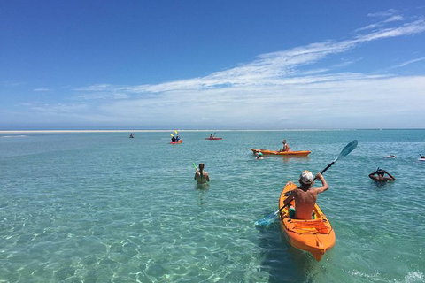 Fraser Island West Coast BBQ Lunch Cruise From Hervey Bay Including Kayaking And Swimming - Tourism Adelaide 9