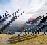 Full Day Mount Tamborine Winery Tour from Gold Coast - Tourism Adelaide