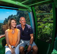Skyrail Rainforest Cableway Day Trip from Palm Cove - Tourism Adelaide