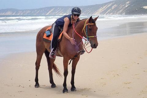 Rainbow Beach Horse Ride - Tourism Adelaide 2