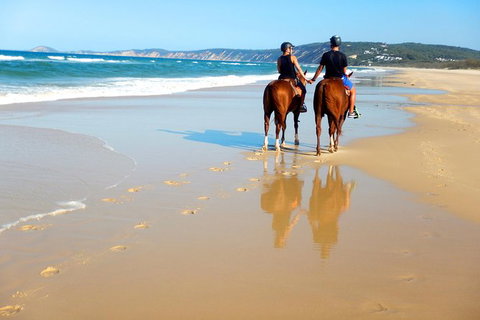 Rainbow Beach Horse Ride - Tourism Adelaide 3
