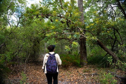 Pack-free Camping: Lake McKenzie Central Hike - 2 Days - Tourism Adelaide 1