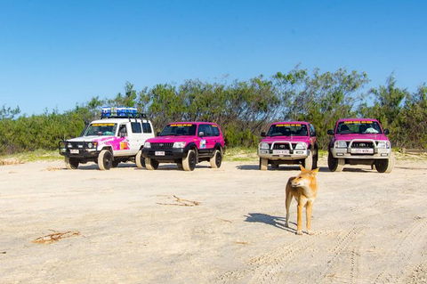 3 Day 4wd Tagalong Tour - Fraser Island - Tourism Adelaide 0