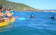 Half-Day Kayak With Dolphins And 4WD Beach Drive From Rainbow Beach - thumb 3