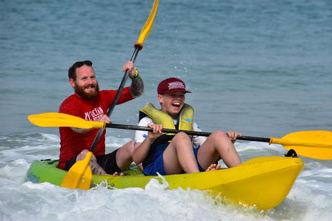 Half-Day Kayak With Dolphins And 4WD Beach Drive From Rainbow Beach - Tourism Adelaide 8