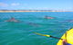 Half-Day Kayak With Dolphins And 4WD Beach Drive From Rainbow Beach - thumb 2