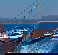 Blue Dolphin Exclusive Whale Watch Encounters