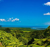 Cape Tribulation Day Tour - Tourism Adelaide
