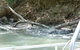 Kakadu Full-Day Tour From Darwin With Lunch - thumb 2