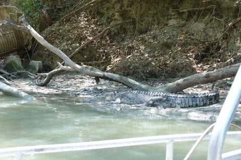 Kakadu Full-Day Tour From Darwin With Lunch - Tourism Adelaide 2