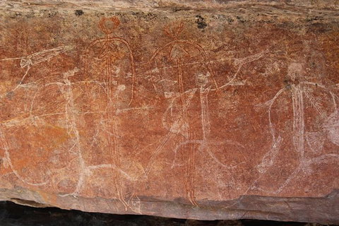 Kakadu Full-Day Tour From Darwin With Lunch - Tourism Adelaide 1