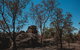 Kakadu Full-Day Tour From Darwin With Lunch - thumb 6