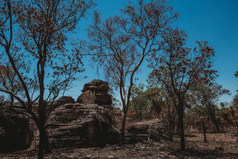 Kakadu Full-Day Tour From Darwin With Lunch - Tourism Adelaide 6