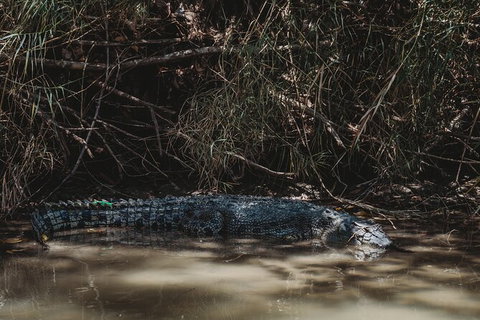 Kakadu Full-Day Tour From Darwin With Lunch - Tourism Adelaide 13