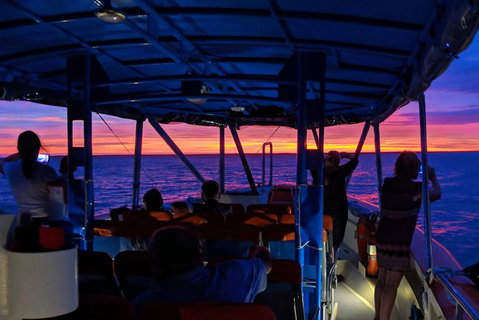 Darwin Sunset Cruise, Including Fish \'n\' Chips - Tourism Adelaide 9
