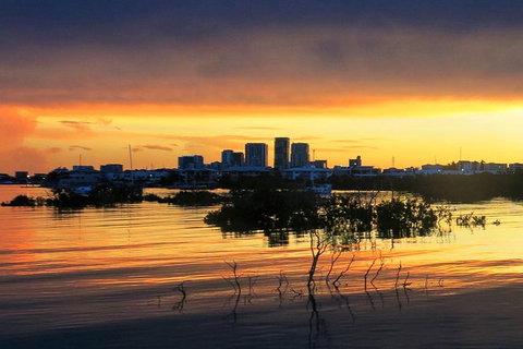 Darwin Sunset Cruise, Including Fish \'n\' Chips - Tourism Adelaide 3